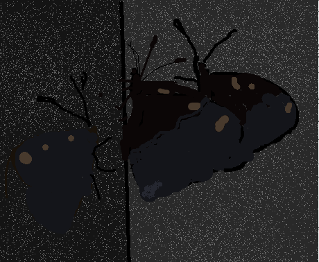 motyli-ve-sklepe.png